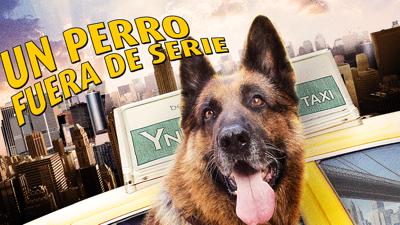 Un Perro fuera de Serie